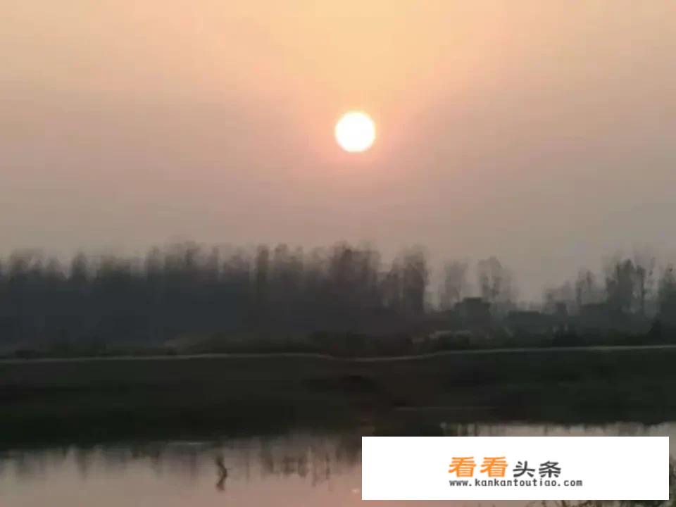 国家振兴乡村计划有哪些扶持项目？