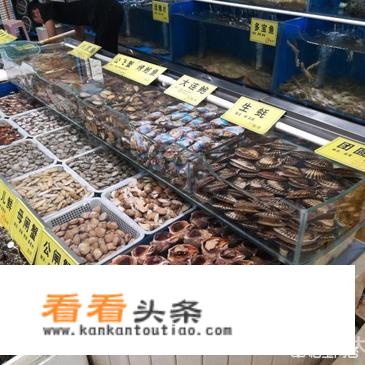 想给老人办寿宴，沈阳有什么酒店值得推荐吗？