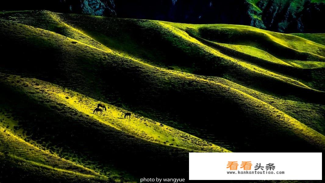 新疆北部旅游景点有哪些？