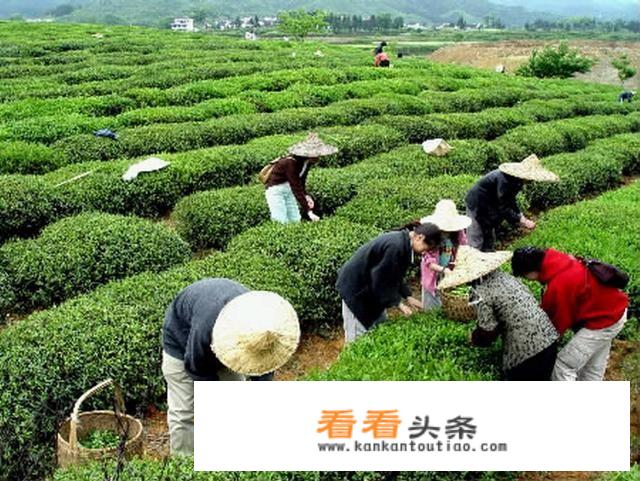 想去一个安静的城市，或者山村旅游，只要干净点，有推荐吗？