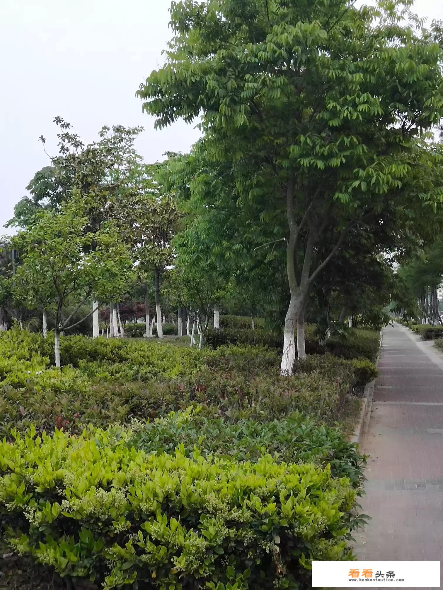 想去一个安静的城市，或者山村旅游，只要干净点，有推荐吗？