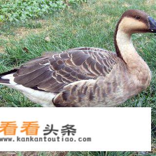 青岛雾季在几月？