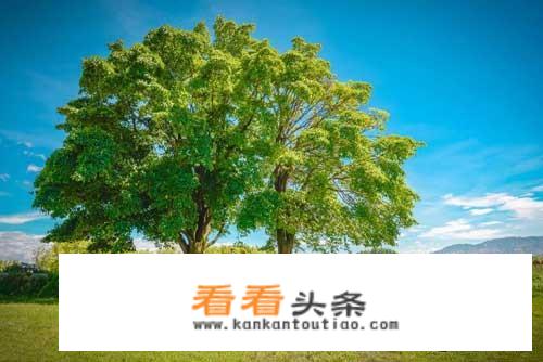 出去旅游都该带点什么呢？