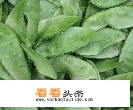 老婆耳朵豆角什么时间种？
