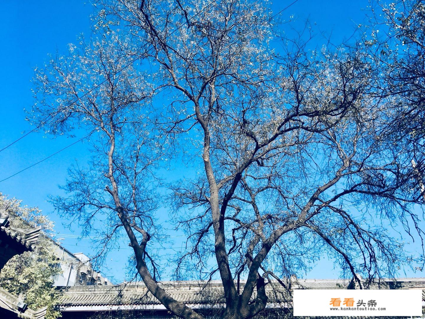 到西安旅游几月份最适合？