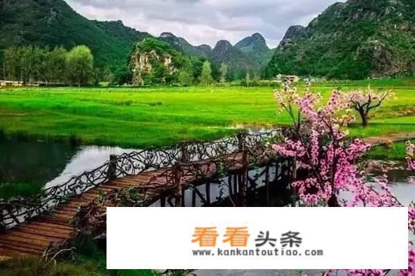 想去云南旅游，想知道在济南报团好还是到昆明再报团好，性价比那个更高？