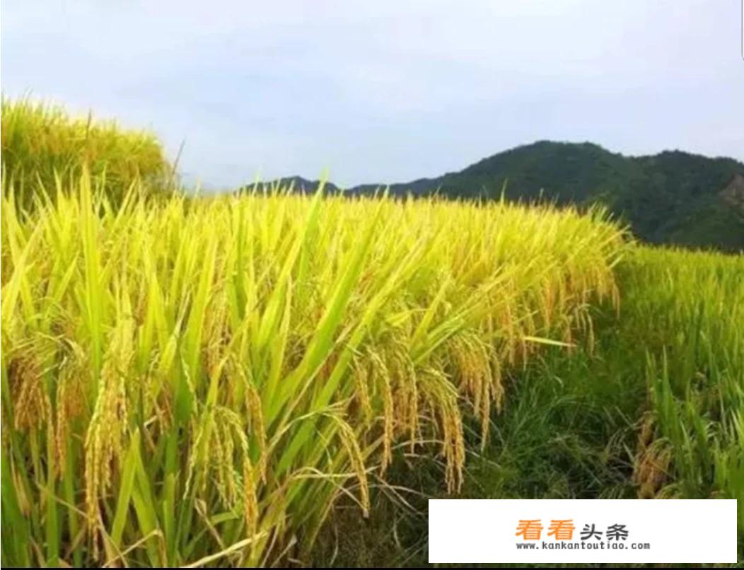 福建隔壁省旅游景点？