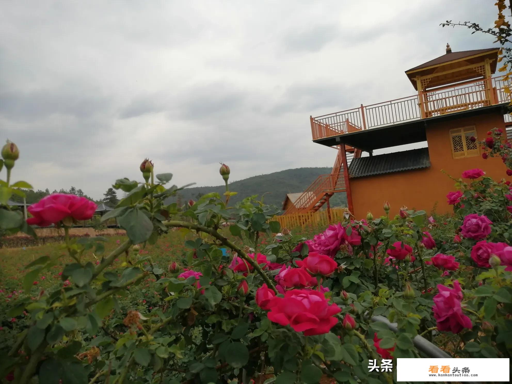 简述世界旅游业的发展趋势？
