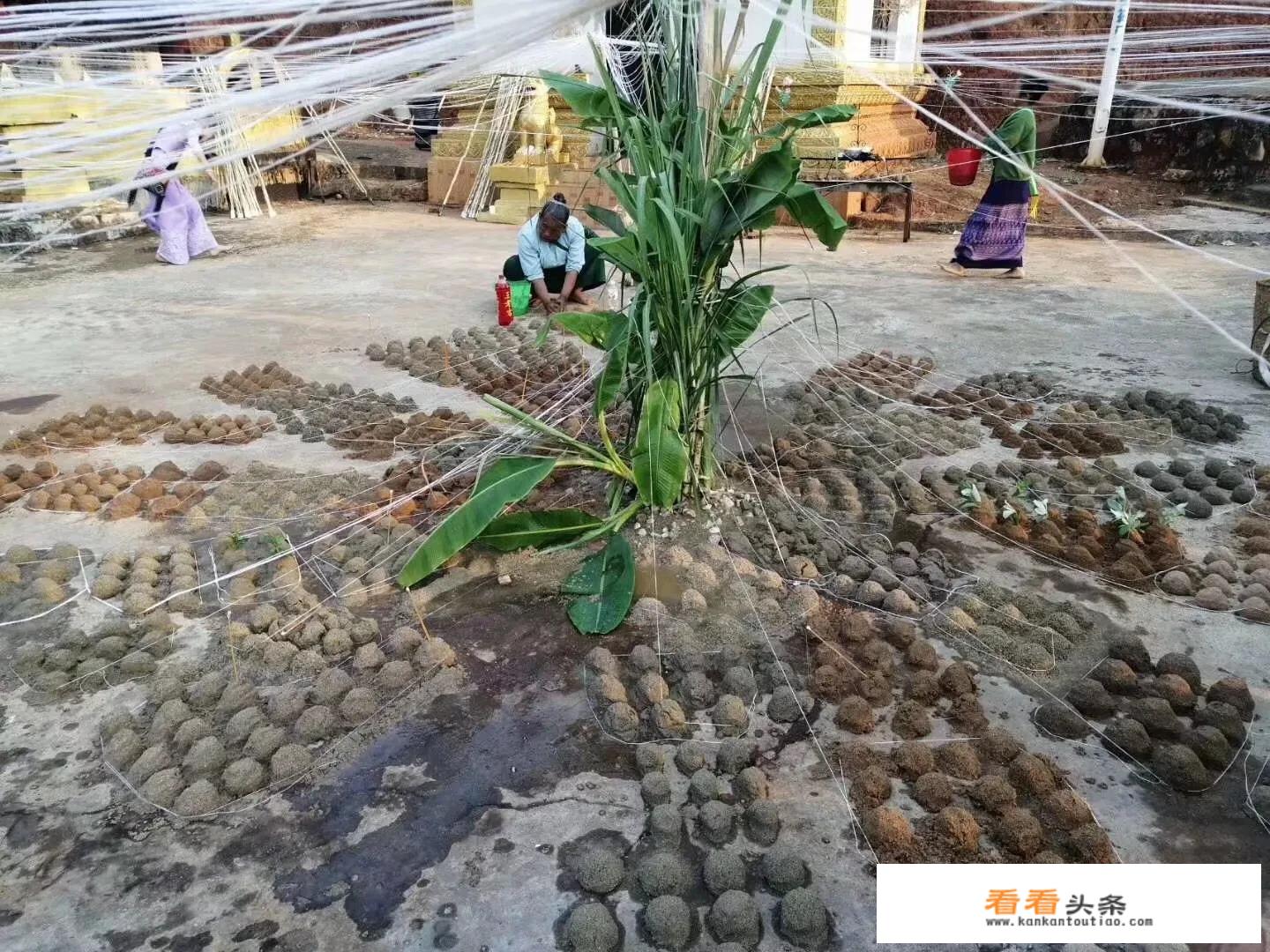 简述旅游市场调查的作用？