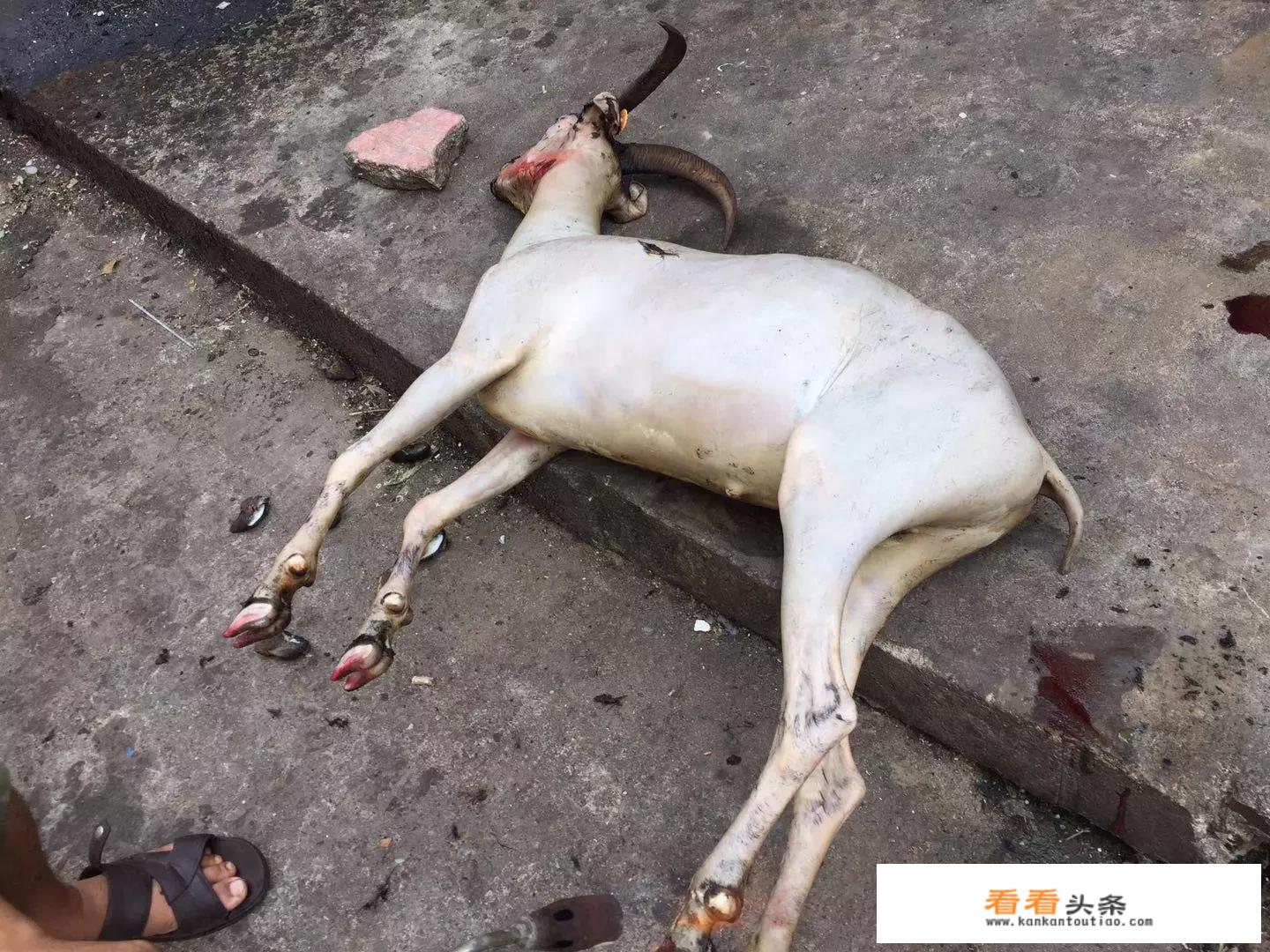 塞尔维亚的冬季在几月？