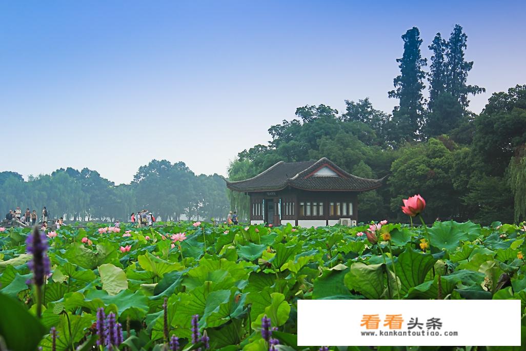 杭州西湖一天游览时间顺序？