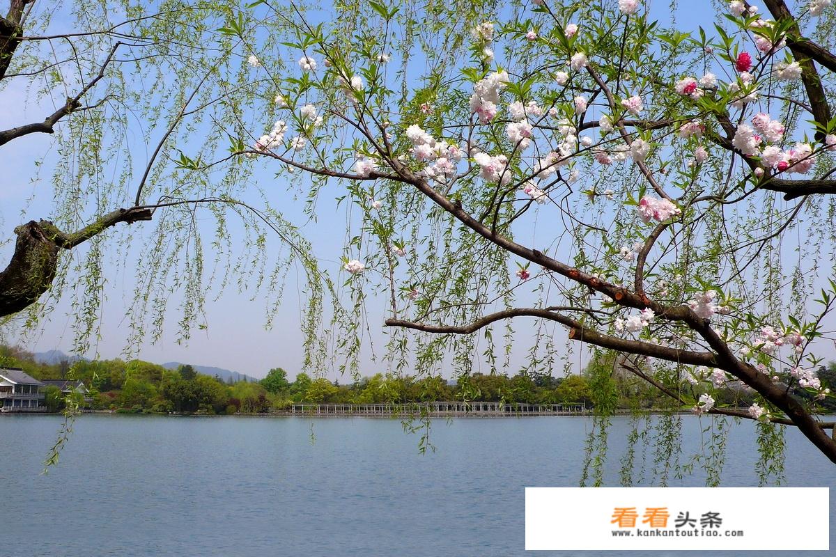 杭州西湖一天游览时间顺序？