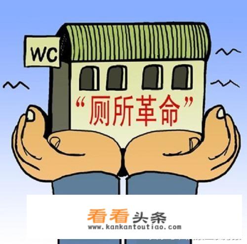 农村老家建的房子，想把厕所设计成环保生态型的，没有苍蝇，臭虫之类的，节水，粪便能降解，有什么办法？