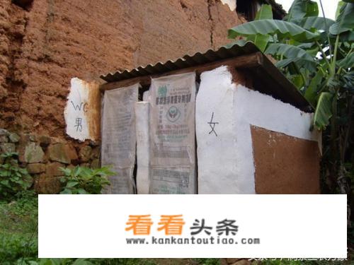 农村老家建的房子，想把厕所设计成环保生态型的，没有苍蝇，臭虫之类的，节水，粪便能降解，有什么办法？