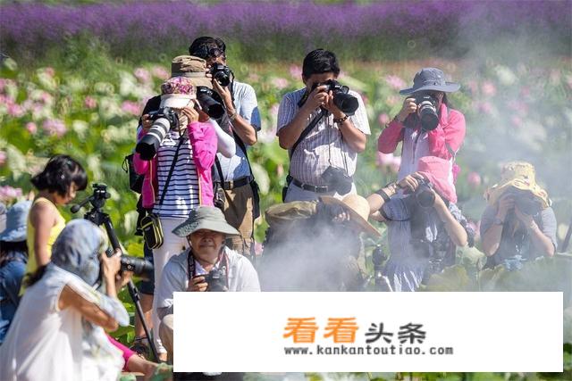 作为摄影人你都参加过哪些摄影活动？你都喜欢哪些摄影活动？你希望举办哪些摄影活动？