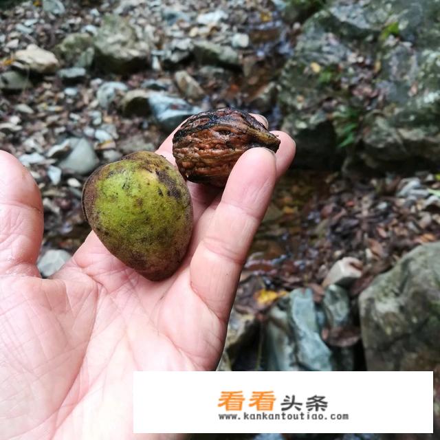 有两天时间休假去哪旅游比较好？