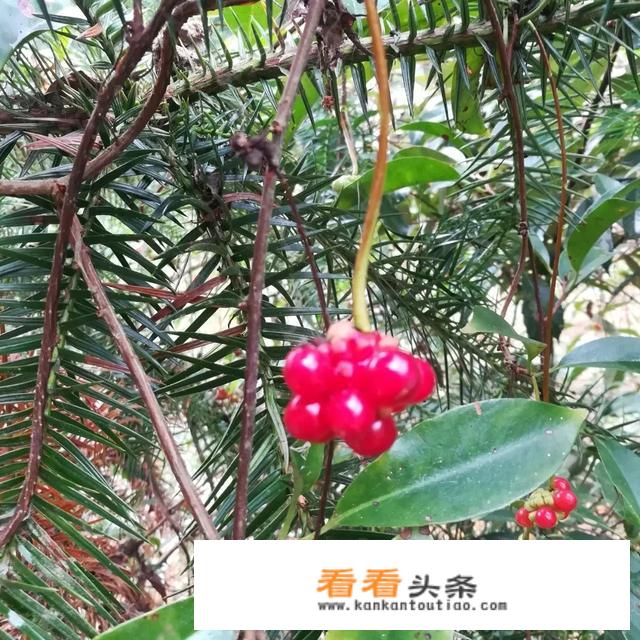 有两天时间休假去哪旅游比较好？