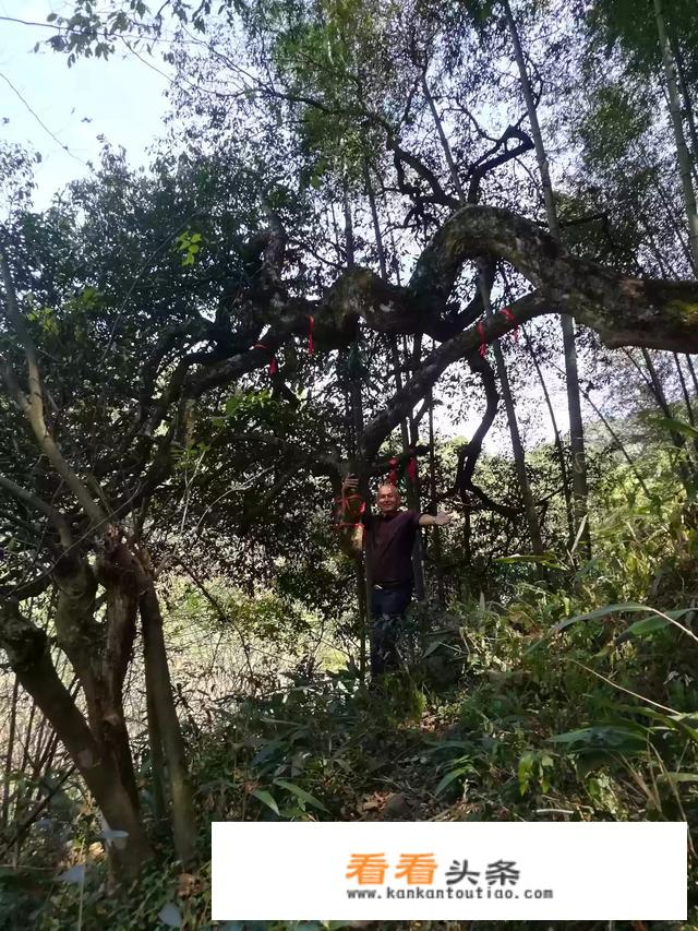 有两天时间休假去哪旅游比较好？