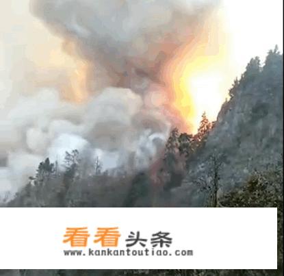 森林公安平时忙吗？工作危险吗？