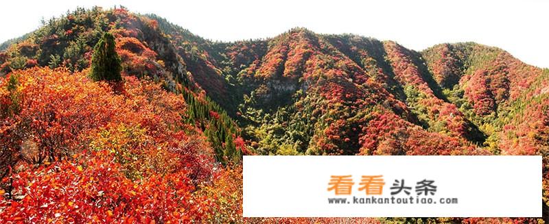 城步两江峡谷森林公园旅游攻略？