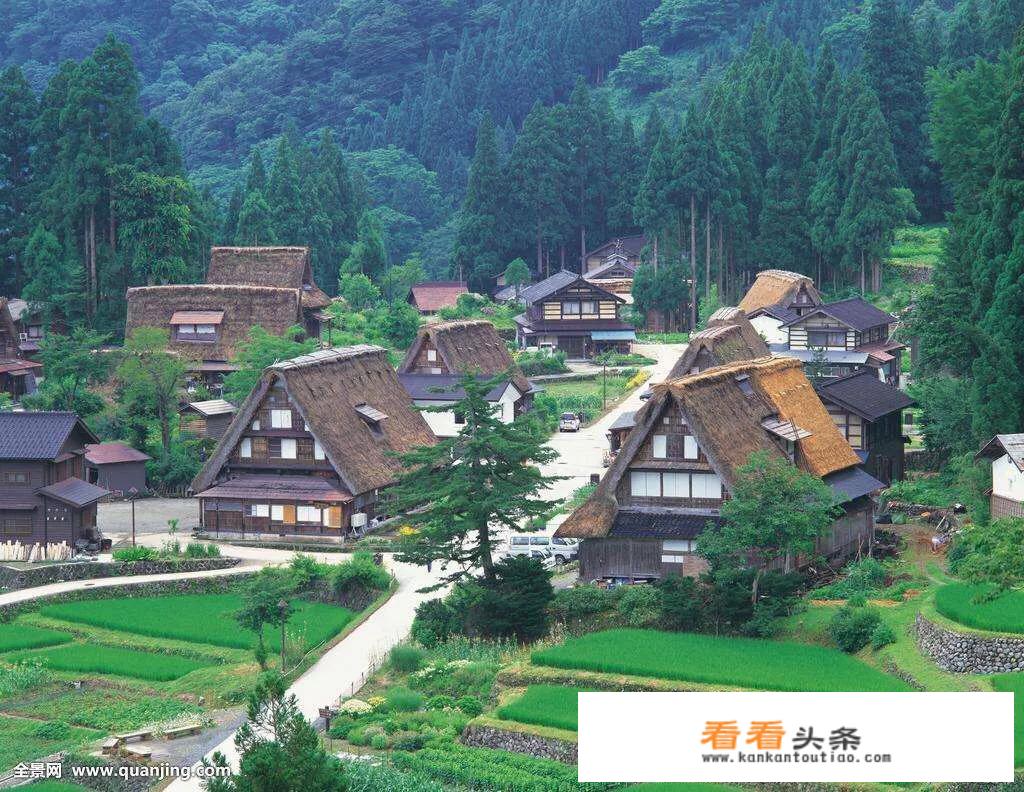 与乡村有关大学生团队名称创意？
