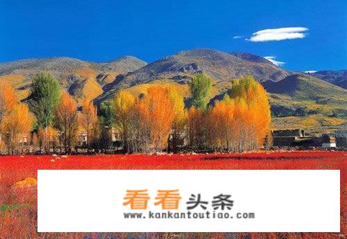 何谓旅游文化？