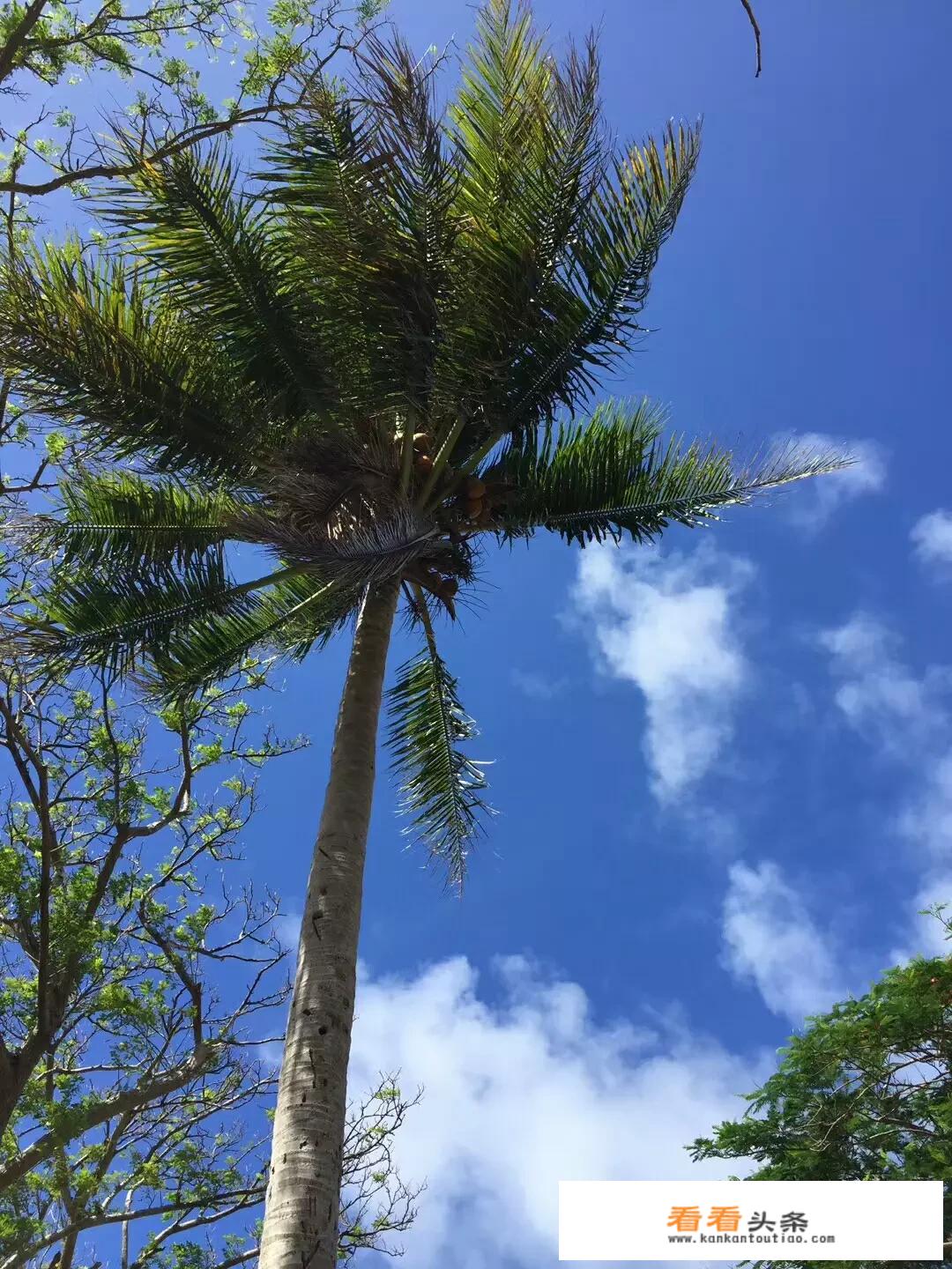 云南旅游靠谱么？