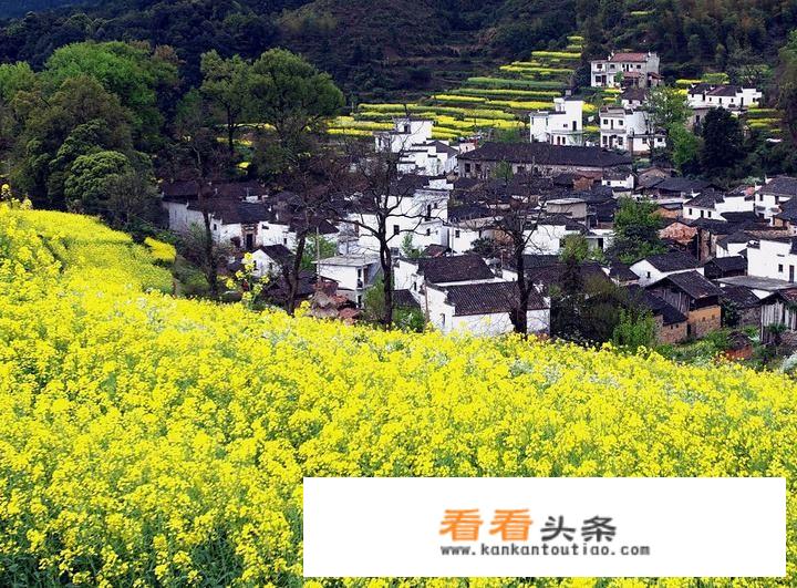 7月去婺源自驾游，选哪个地方？