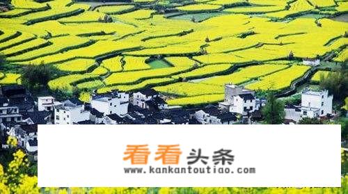7月去婺源自驾游，选哪个地方？