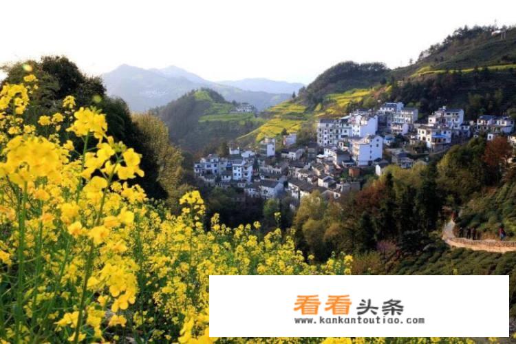 7月去婺源自驾游，选哪个地方？