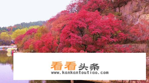 济南市高新区有哪些景点？