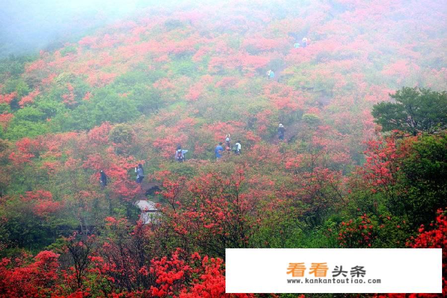 旅行社跑业务难不难？