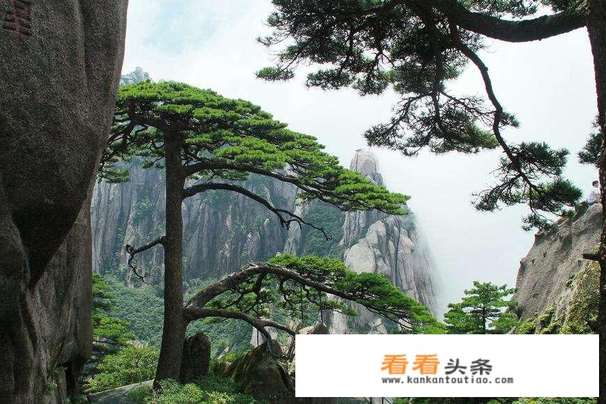 全国哪个地方风景好且租房便宜？