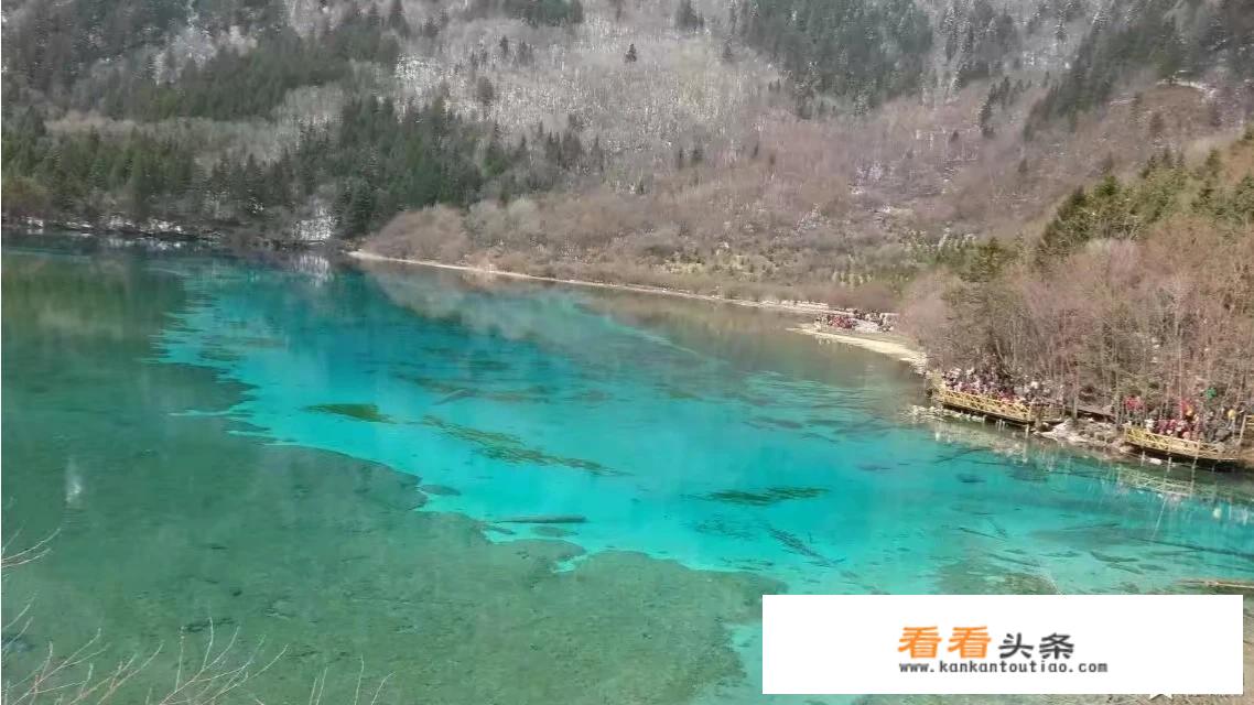 成都大运会期间旅行社能接待团队吗？