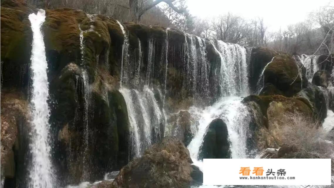 成都大运会期间旅行社能接待团队吗？