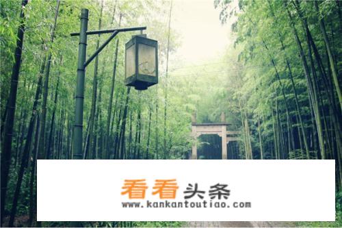 上海宋城免费景点？