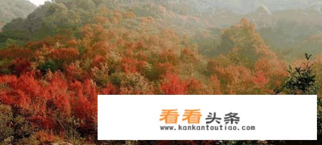 湖北十一月份适合游玩吗？