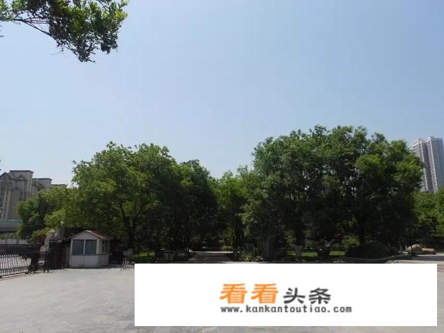 旅游景点适合做什么方便快捷的小吃？