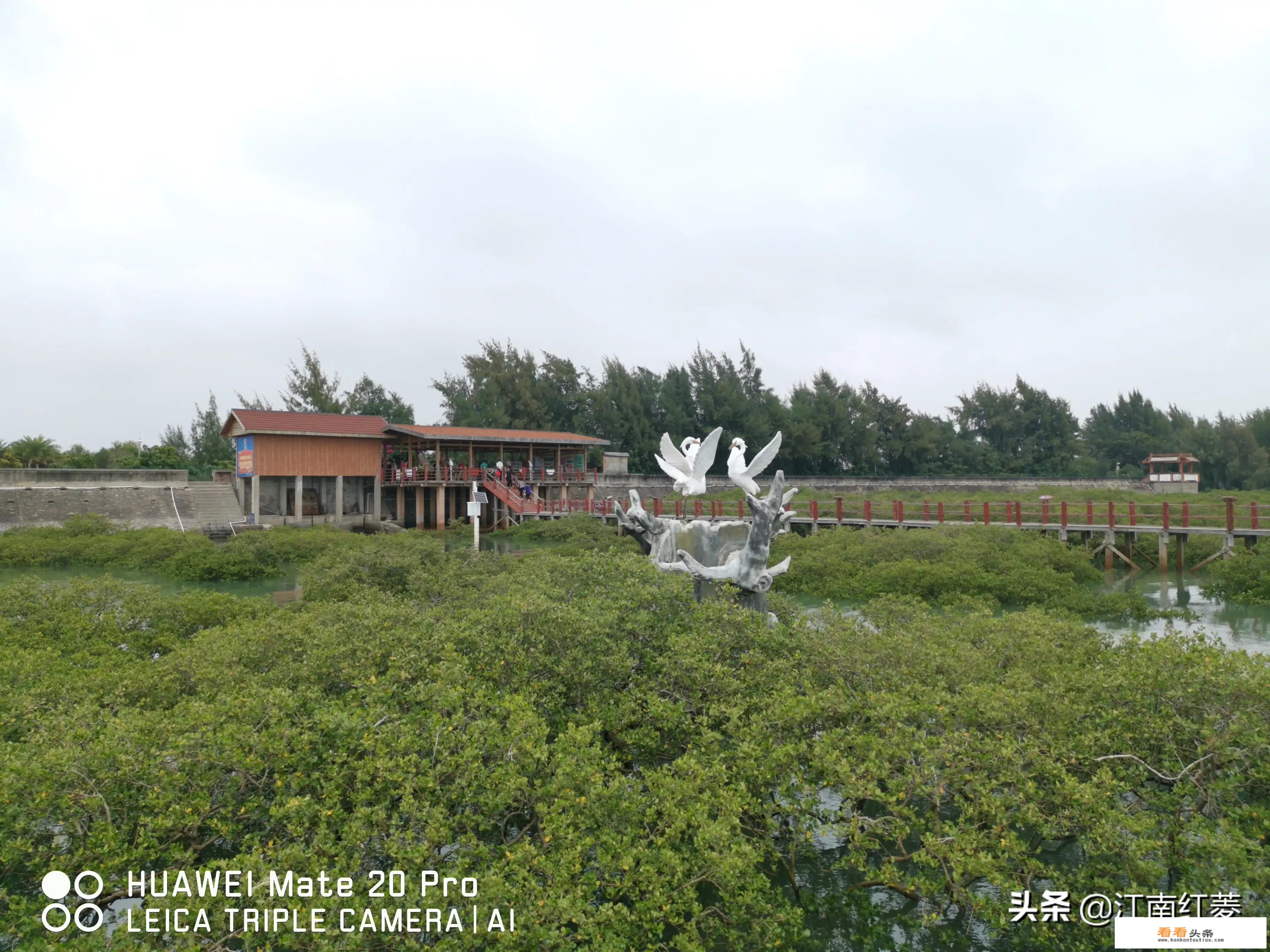 有没有适合冬天旅游的地方推荐？