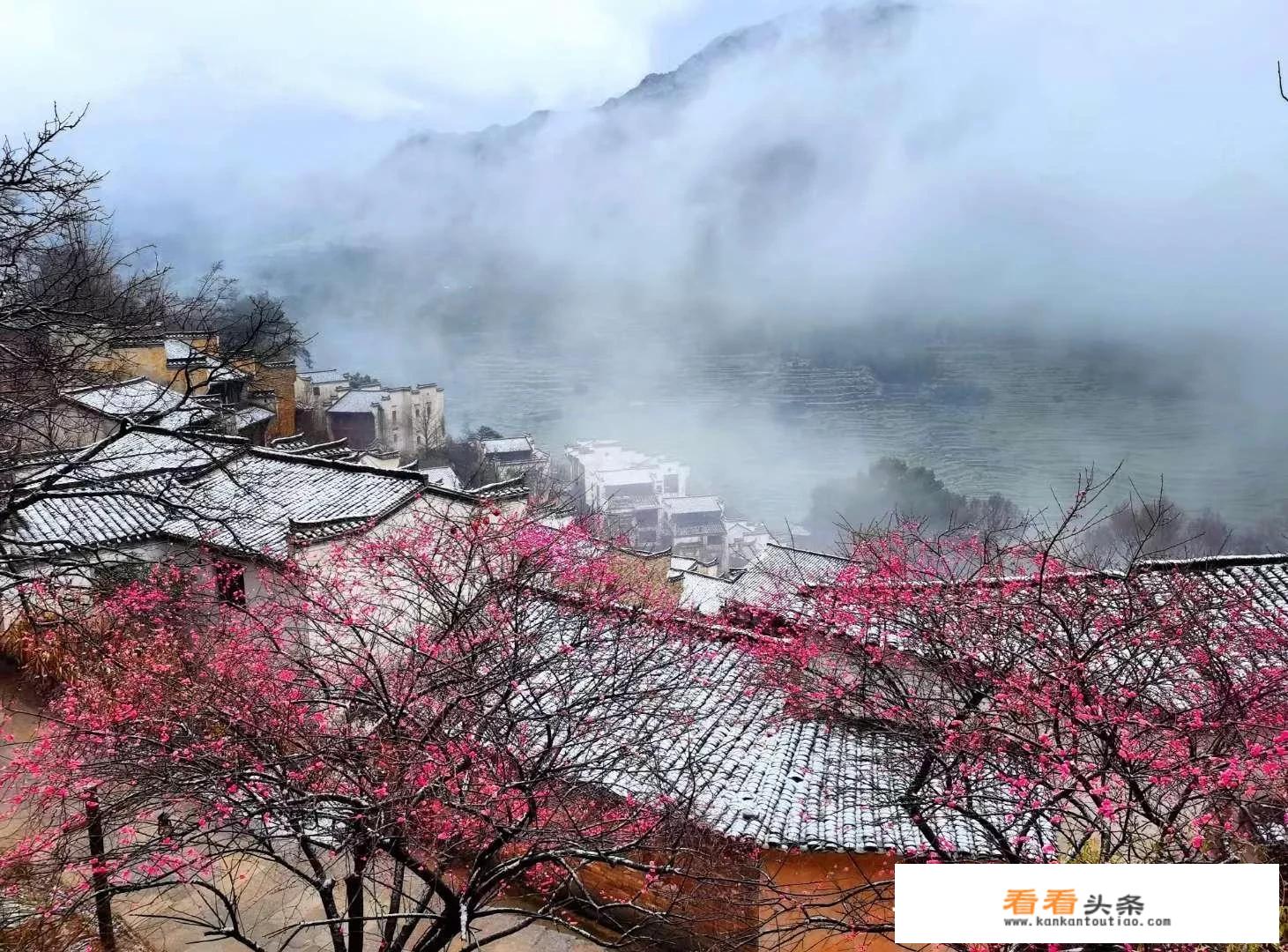 旅游可分为哪几种形式？