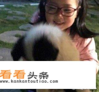 人临死前会眷恋人间么？
