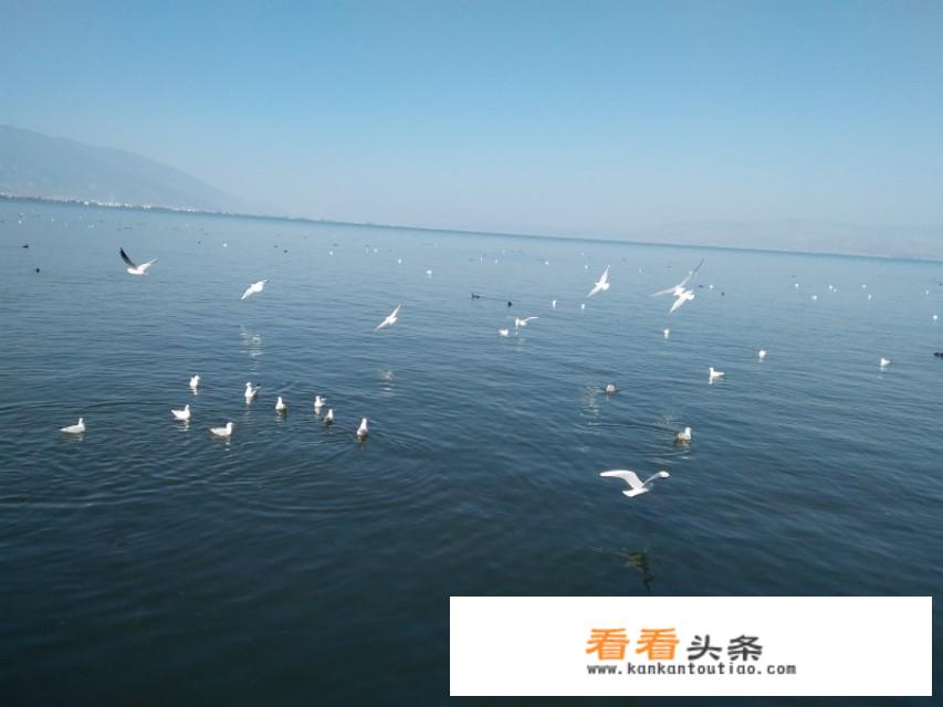 到大理旅游住双廊好还是大理好？