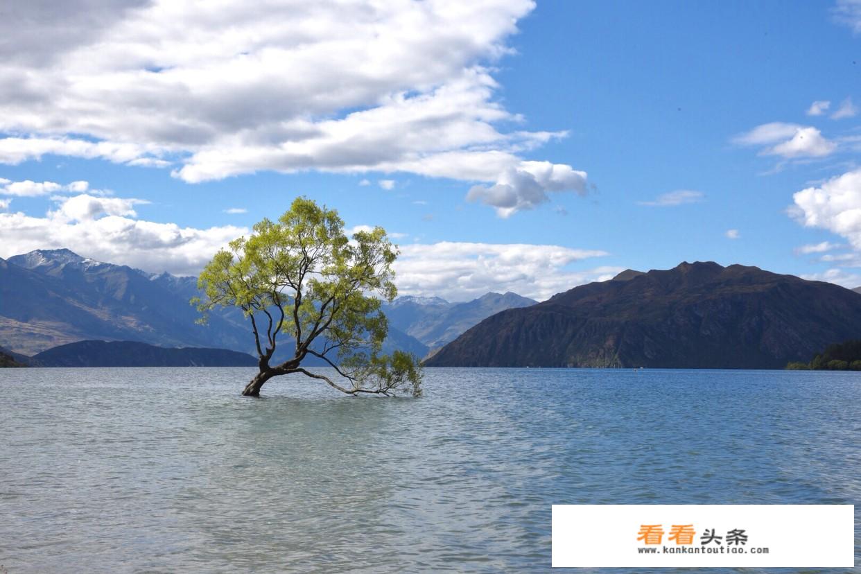 新西兰旅游注意事项？