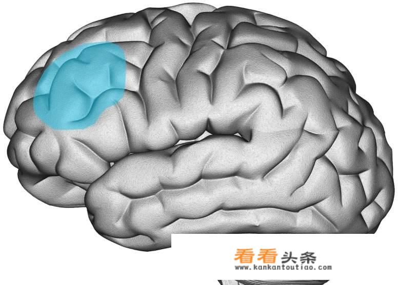 人的基本欲望都有哪些？