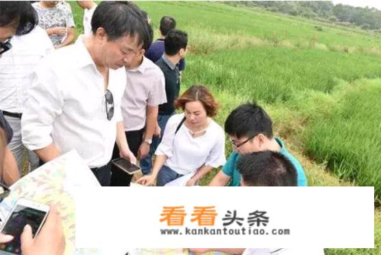 淄博市文旅集团介绍？