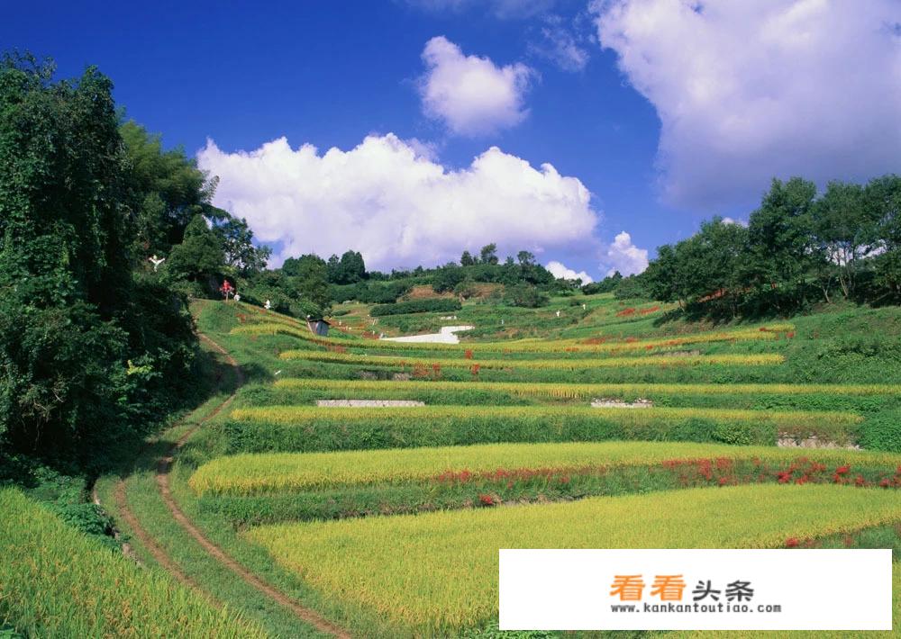 五一旅游高峰期，去田园体验生活欣赏美景如何？