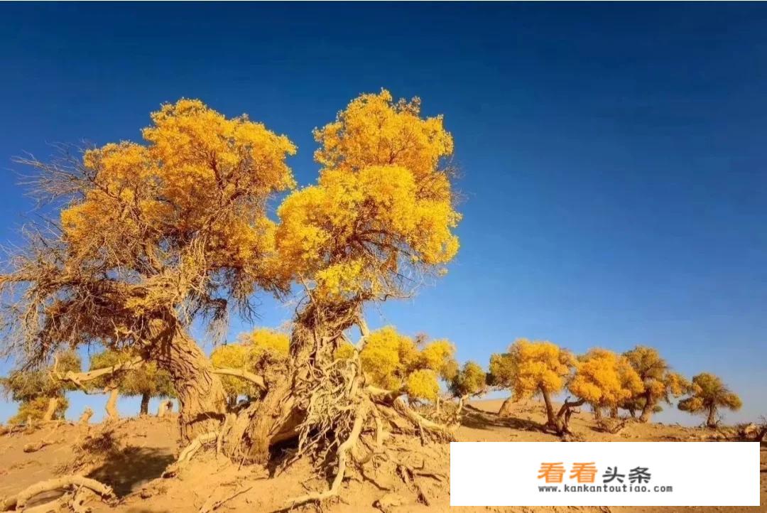 国内小众旅游景点？