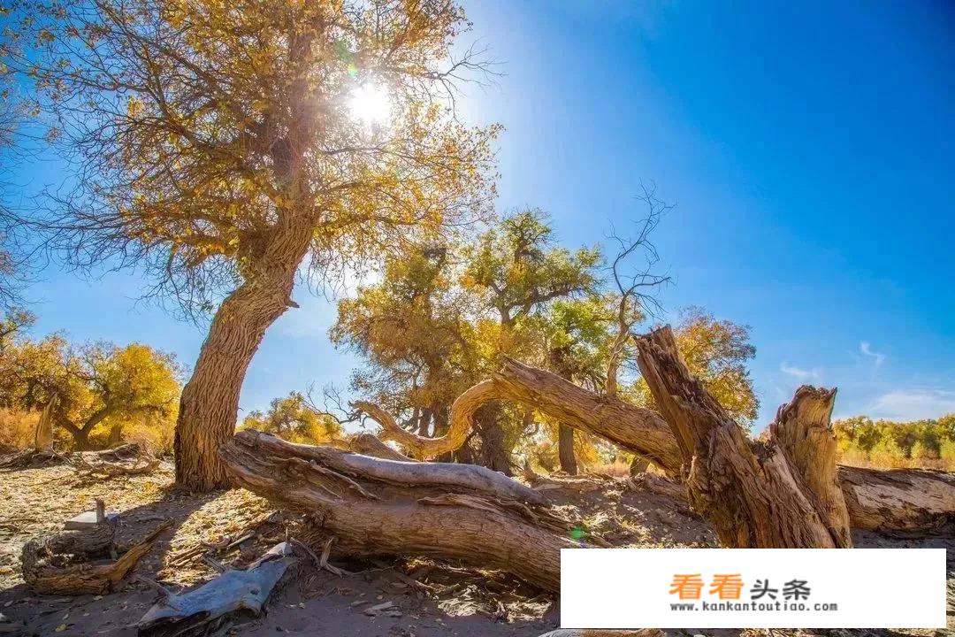 国内小众旅游景点？