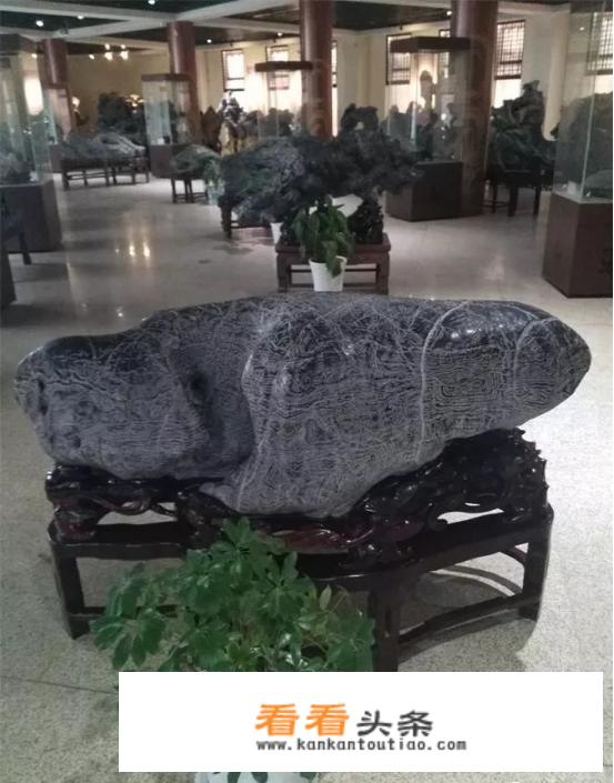 商丘夏邑旅游景点？