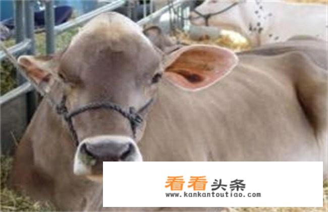 刚满一个月的宝宝喂奶是喂饱还是不喂饱？